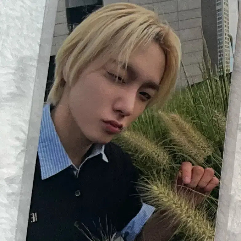 디액션 쇼케이스 라이브 특전 성호 보넥도 보이넥스트도어 포카