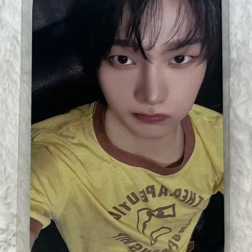 보넥도 성호 노장르 공방 포카 보이넥스트도어