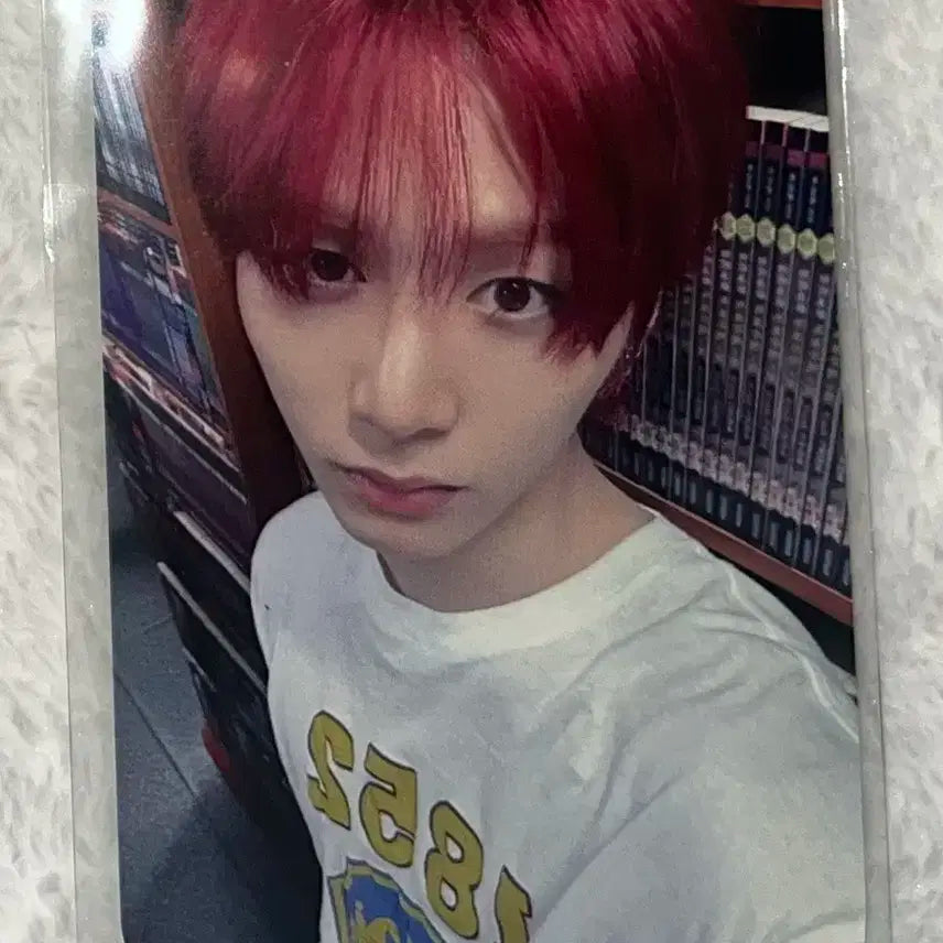 보넥도 태산 노장르 공방 포카 보이넥스트도어