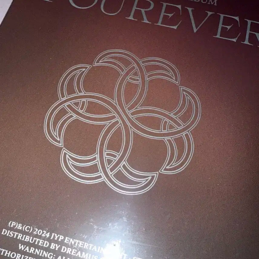 데이식스 포에버 미개봉 앨범 브라운