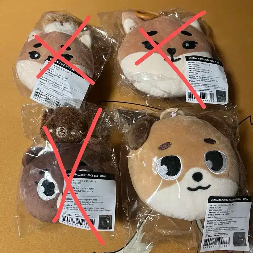 데이식스 릴페이스 세트 / 릴패스 돈