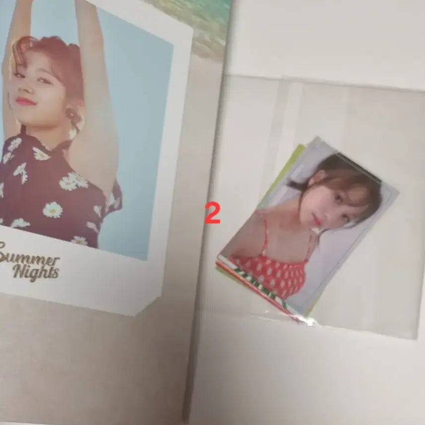트와이스 Summer Nights 음악 앨범 cd