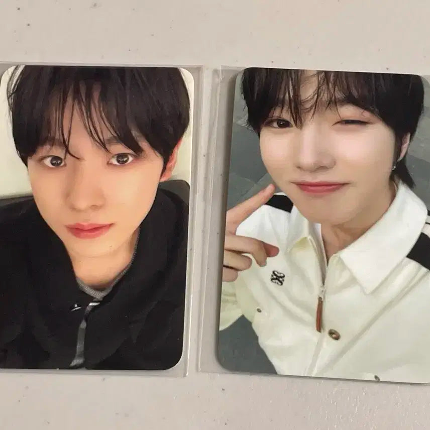 엔시티 위시 에버위시 입장포카 유우시 사쿠야