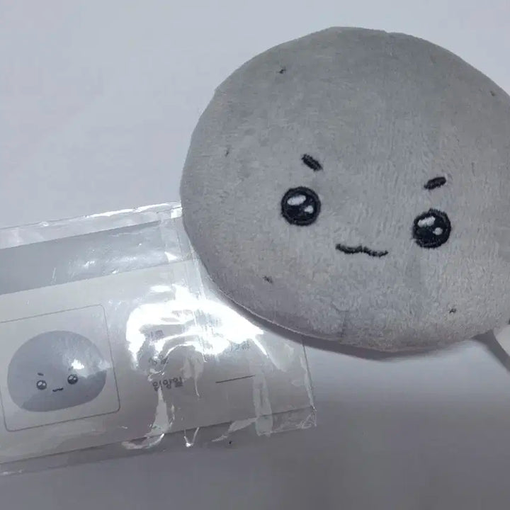 라이즈 은석 1기 송용돌이 10cm 인형 은떠기