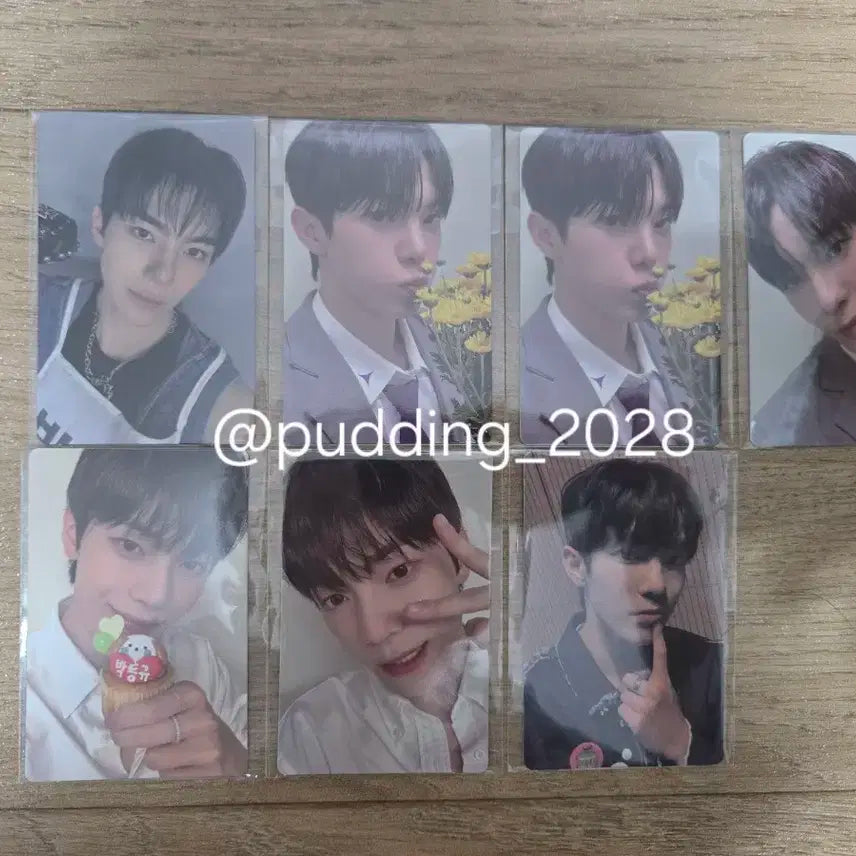 박동규 포카 보플 아카이브 전시회 2주차 보이즈플래닛