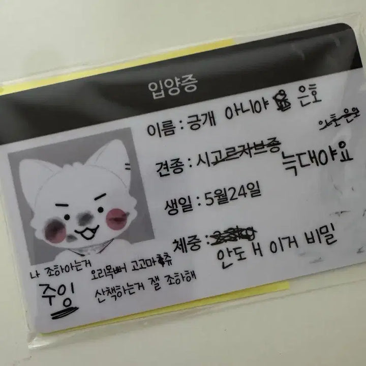 플레이브 은호 암긍개 미개봉 짱레이브 키링 양도