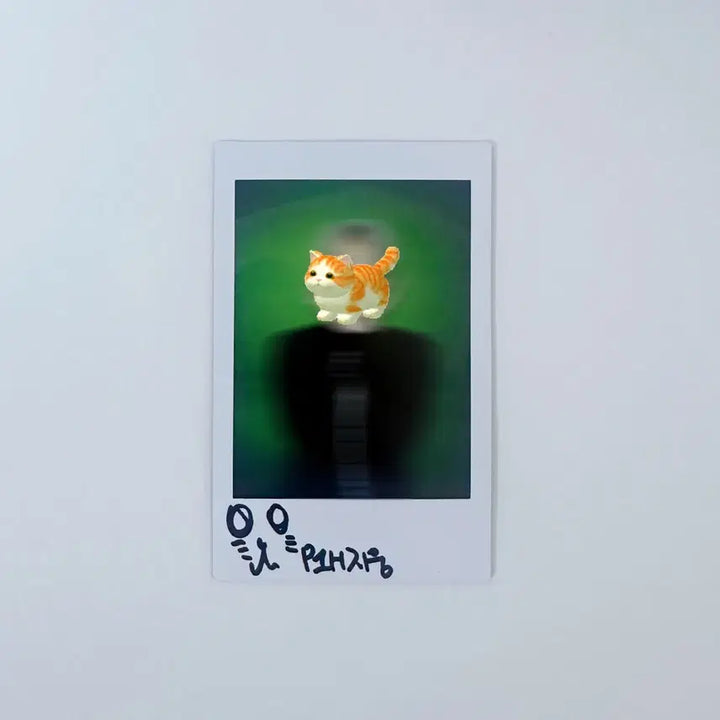 피원하모니 지웅 백다운 싸인 폴라 JIUNG sign polaroid