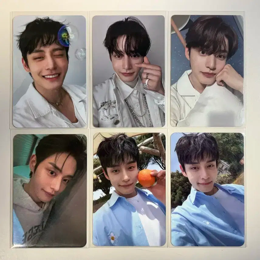 제로베이스원 김지웅 포토카드 일괄