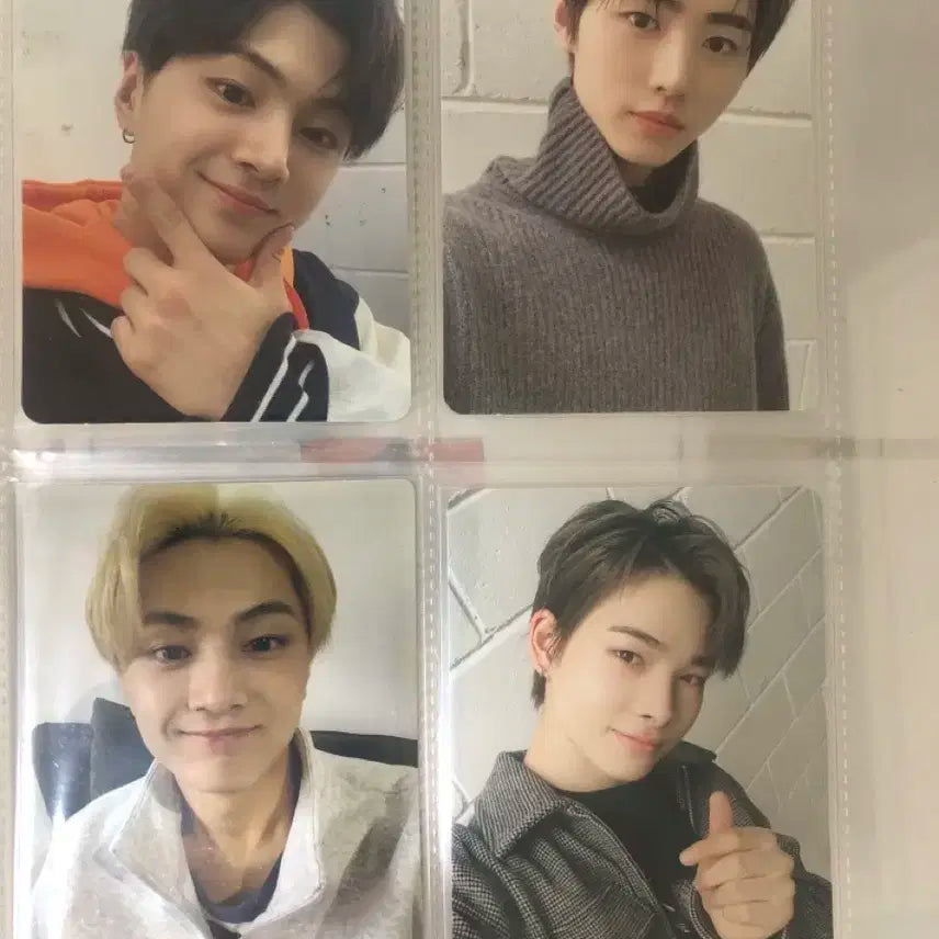 엔하이픈 팬클럽 멤버십 포카 양도 제이 성훈 니키