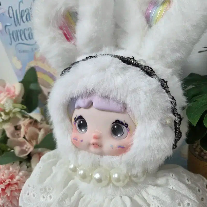 노미 날씨예보 정품