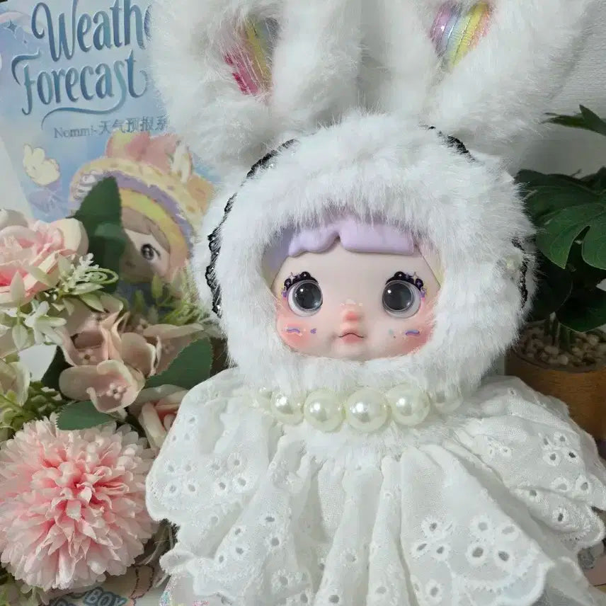 노미 날씨예보 정품