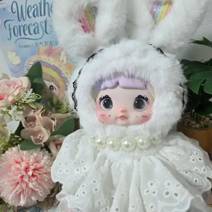 노미 날씨예보 정품