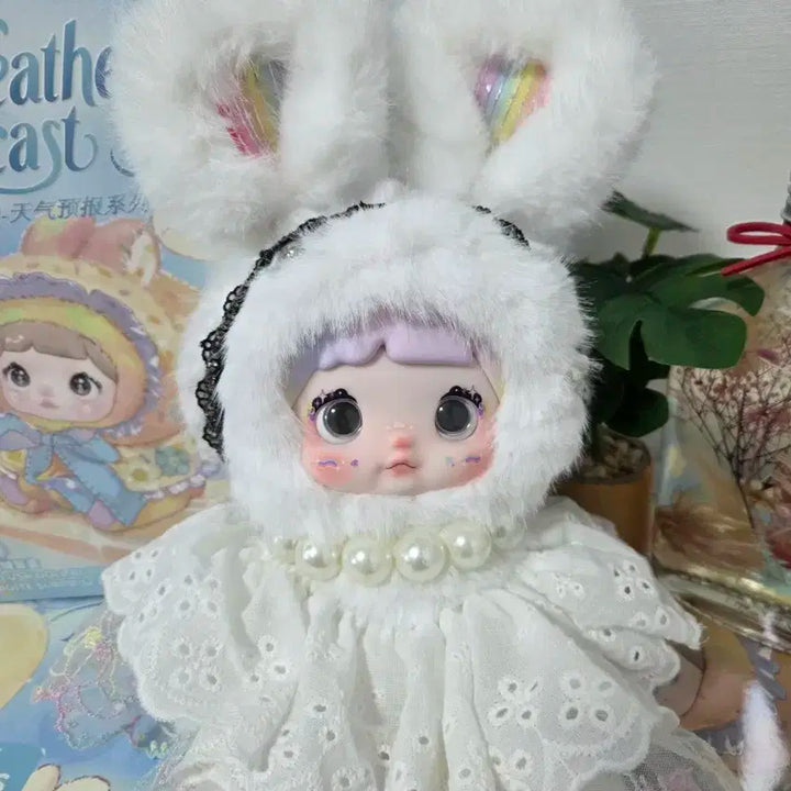 노미 날씨예보 정품