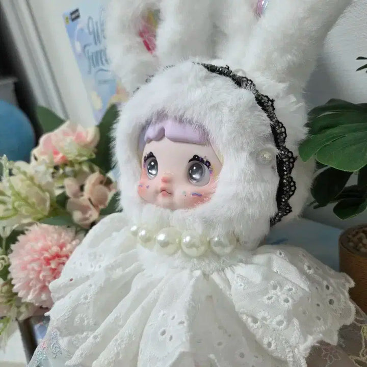 노미 날씨예보 정품