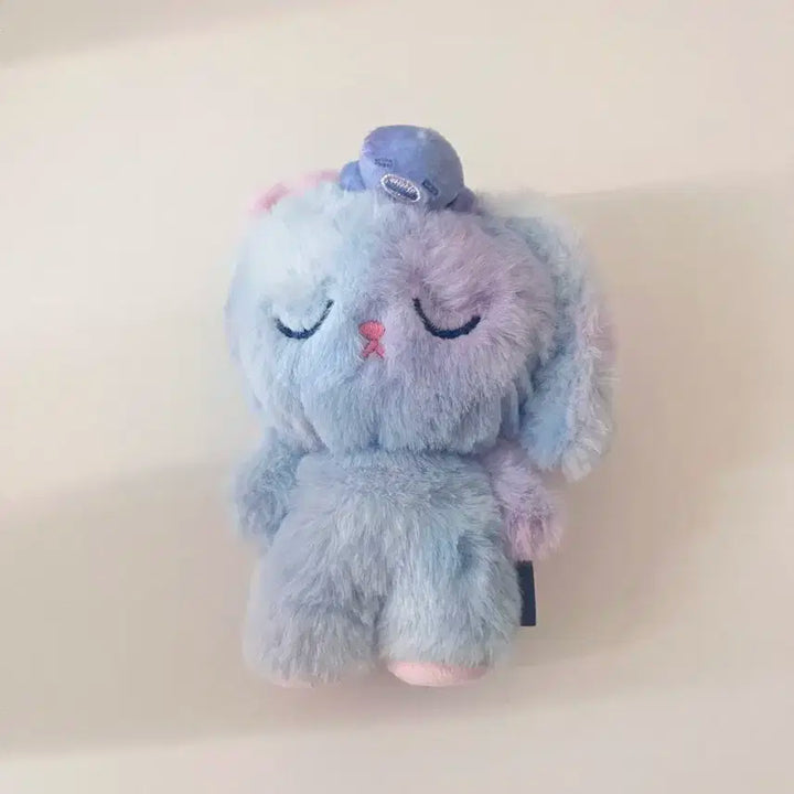 라이즈 원빈 토냥덕 보이스키링