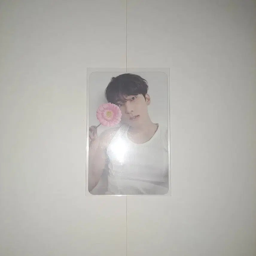 디어버전 원우 판매해요