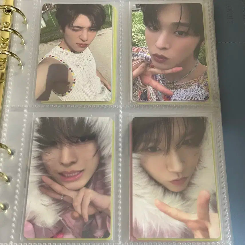 엔시티 위시 포카 최저가