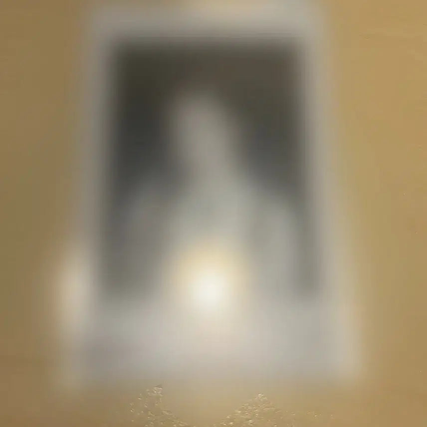 시그니처 도희 싸인 폴라로이드 폴라 양도합니다!