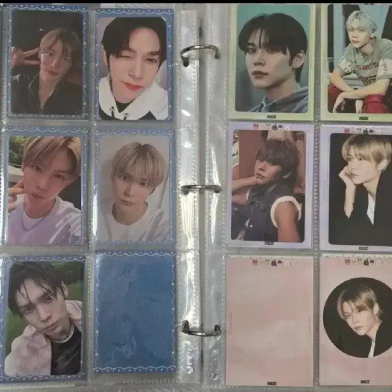 라이즈 은석 포카 일괄