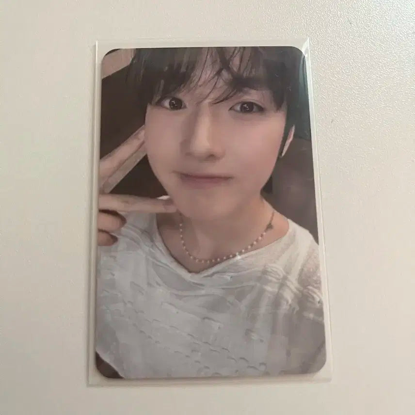 엔시티위시 사쿠야 스테디 케타포 포카 양도