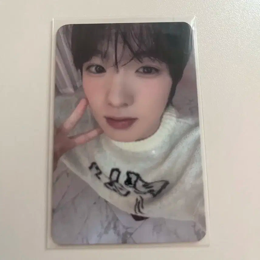 엔시티위시 사쿠야 스테디 점프업 포카 양도