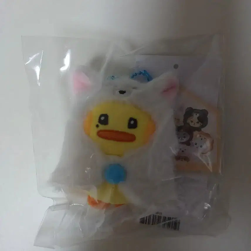 제로니 팝업 태니니 판매