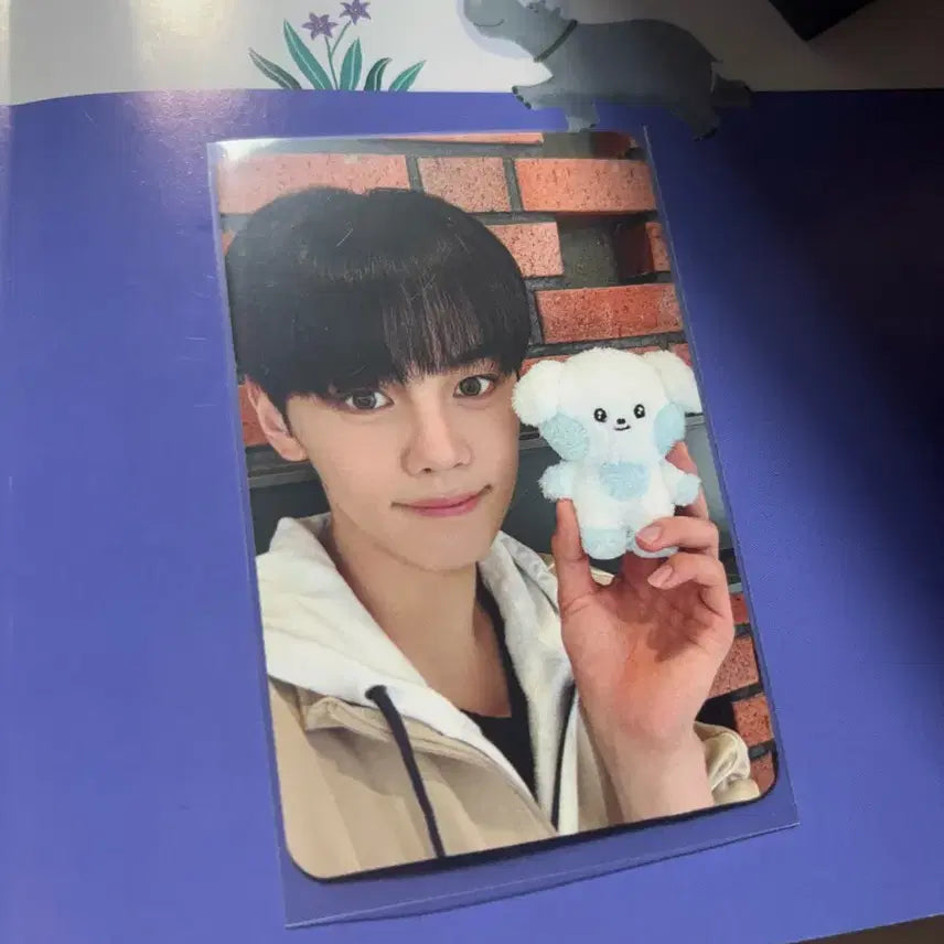 제베원 제로니 인형