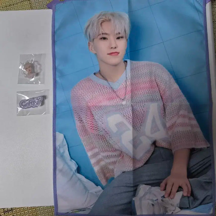 세븐틴 홈세트(호시)