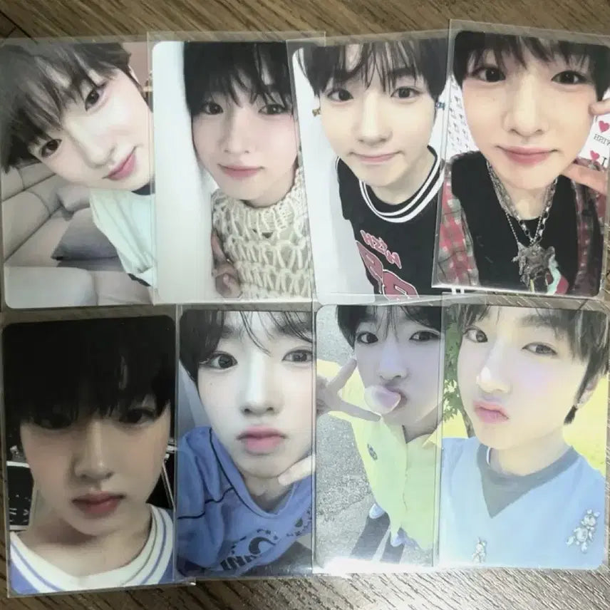 사쿠야 팝팝 초회한정반 스테디 앨포 일괄 양도