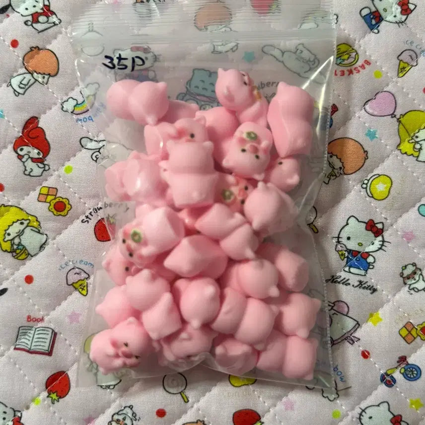 미니돼지 피규어 35개