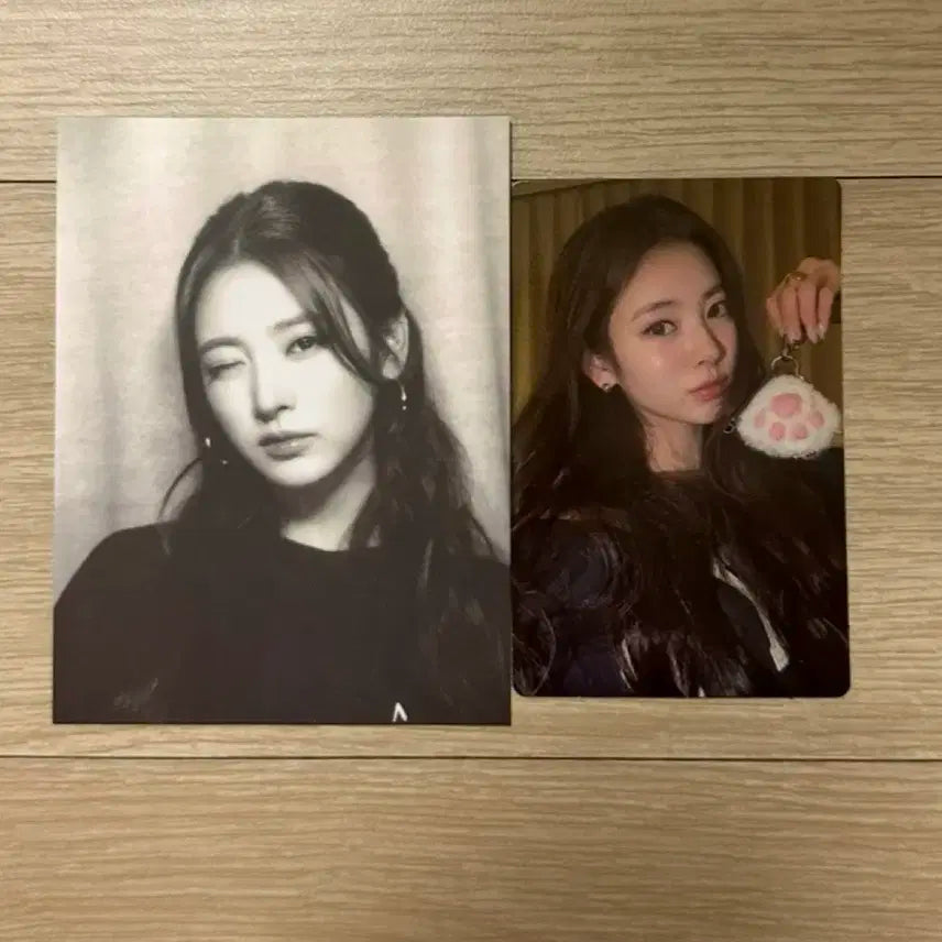 미야오 안나 젤리파우 포카