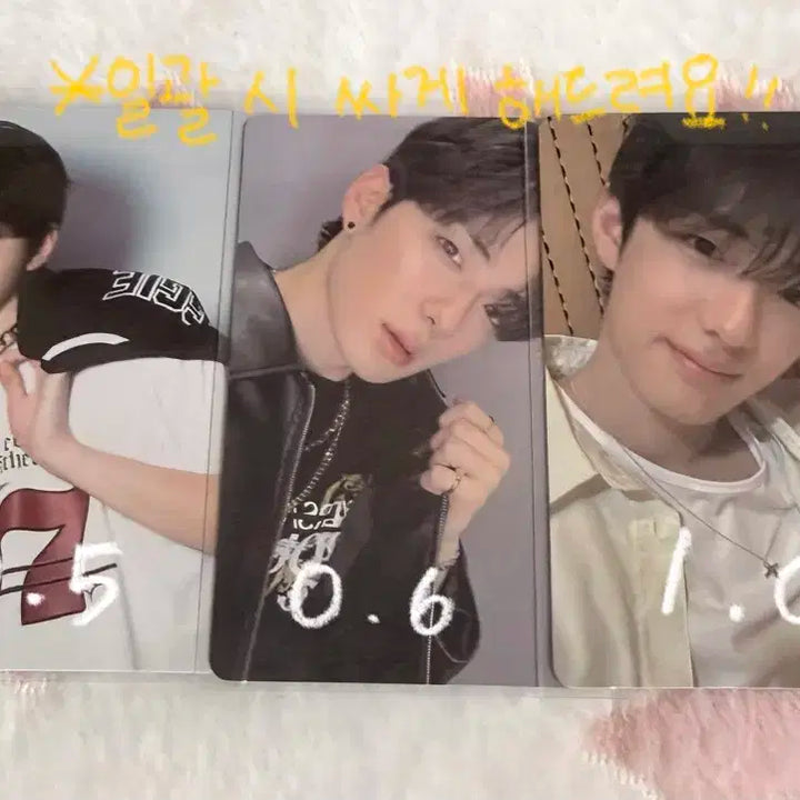 보플 아카이브 , 알디원 포카 판매합니다!