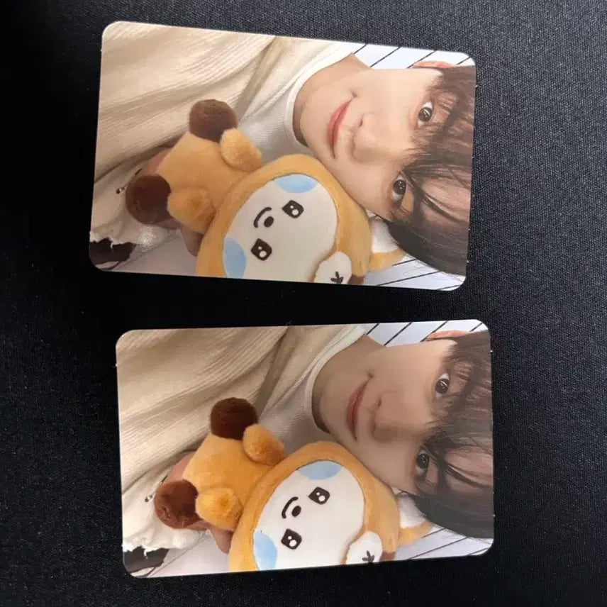 제로베이스원 제로니 팝업 김규빈 포카