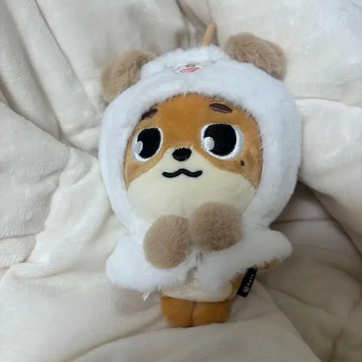 (급처)데이식스 25 2025 돈 도운 데니멀즈 양도 판매 합니다