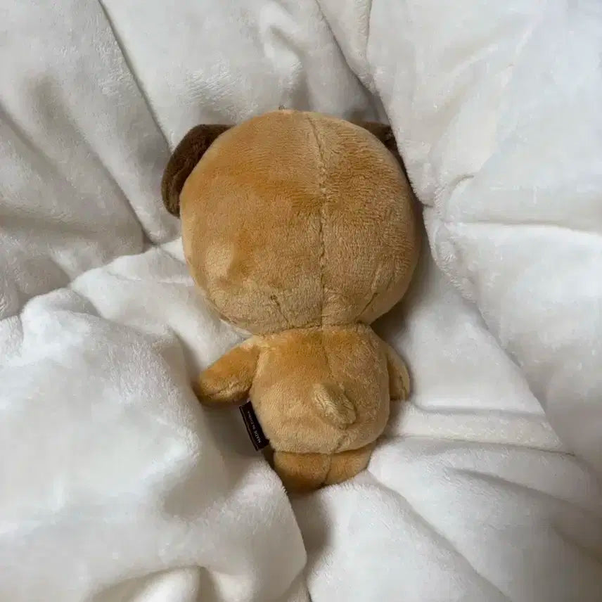 (급처)데이식스 25 2025 돈 도운 데니멀즈 양도 판매 합니다