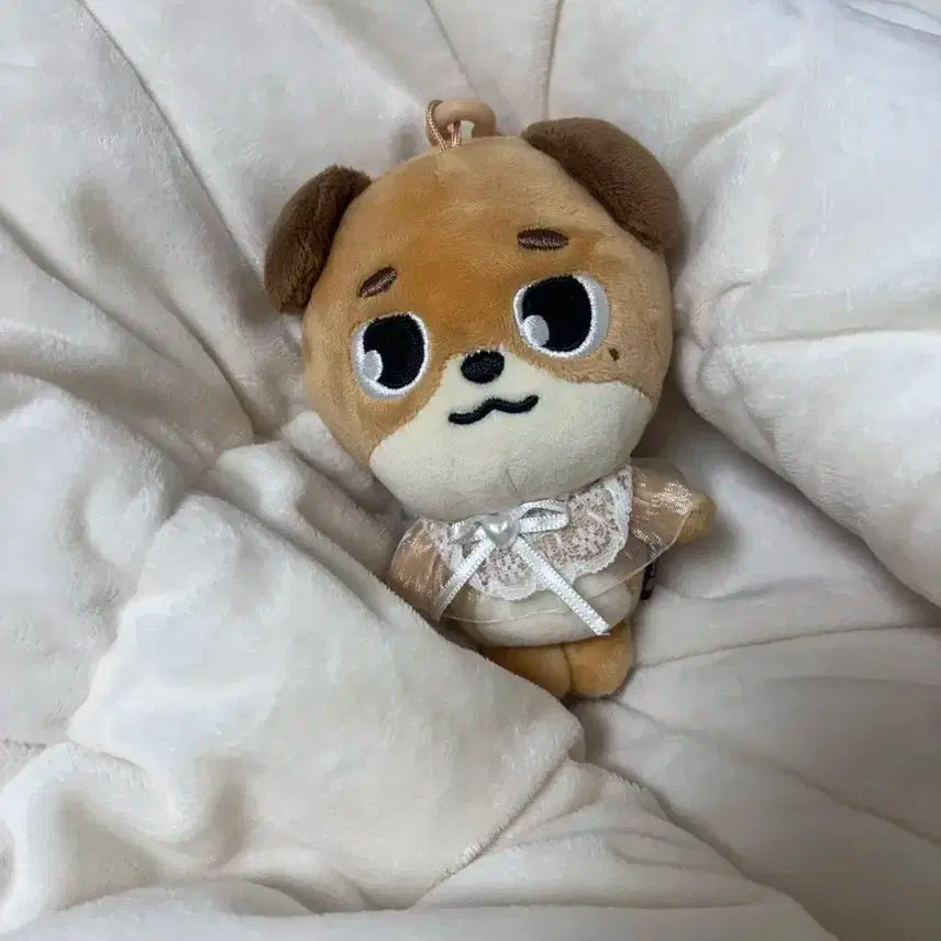 (급처)데이식스 25 2025 돈 도운 데니멀즈 양도 판매 합니다