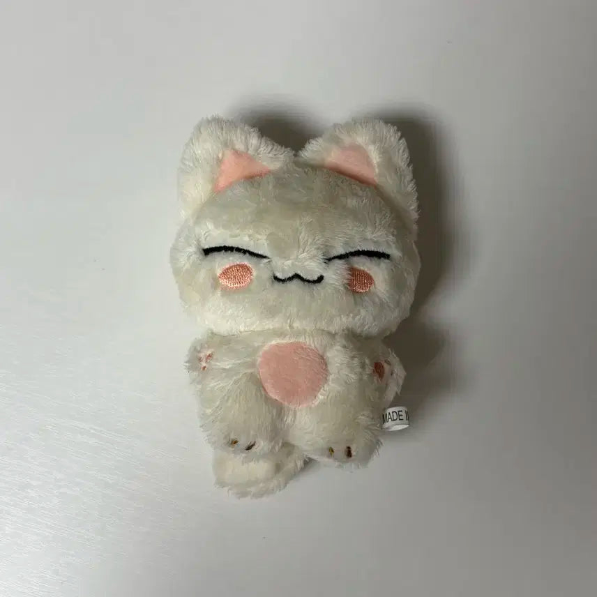 스트레이키즈 양정인 아이엔 인형