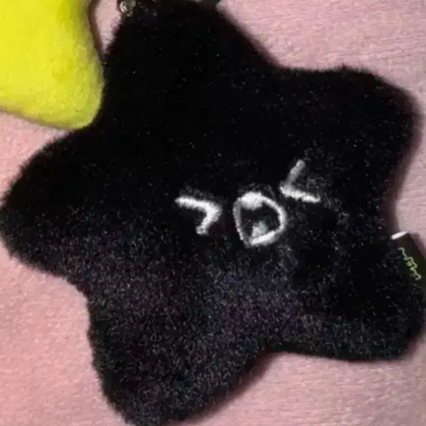 햇가사리 탄가사리 흑가사리 해찬 엔시티 127 일이칠