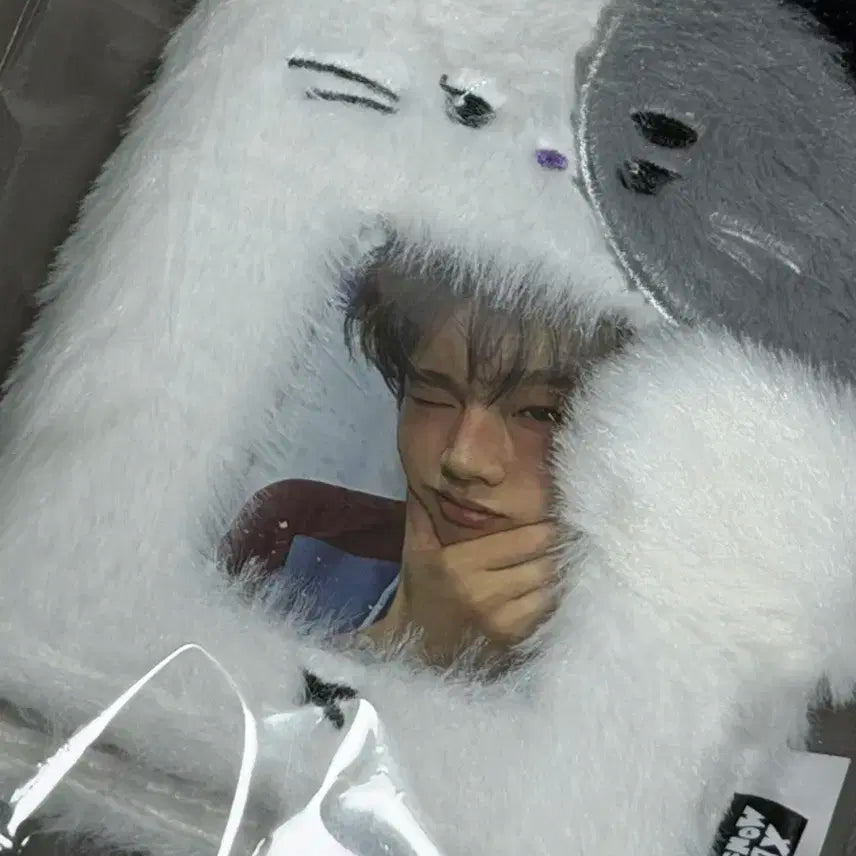 엑디즈 정수 콜렉트북 양도