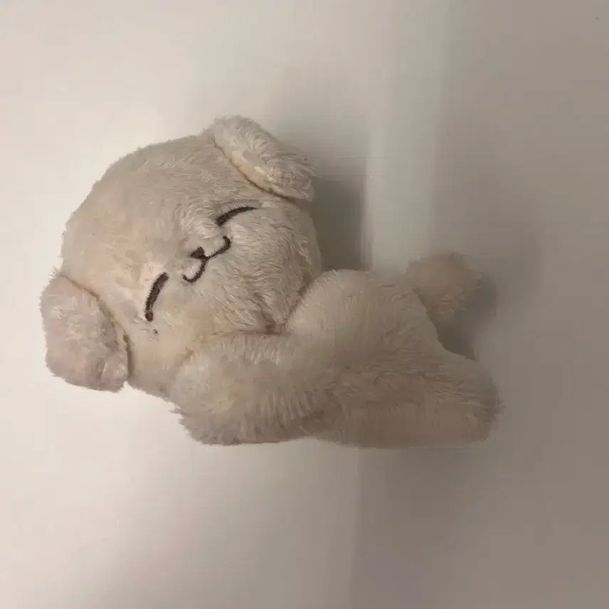 엔시티드림 엔시티 제노 폭쩬 인형 팔아요