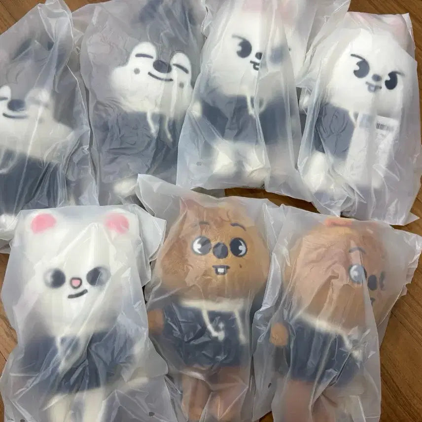 스트레이키즈 스키즈 오리지널 스키주