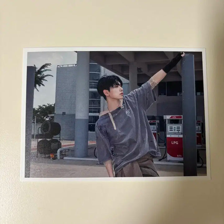 이디야 보넥도 재현 포토엽서