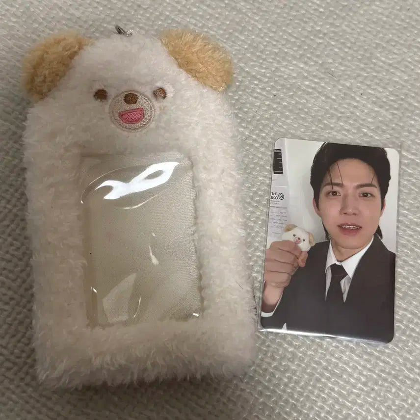 데이식스 클콘엠디 포카홀더 쁘멀 돈