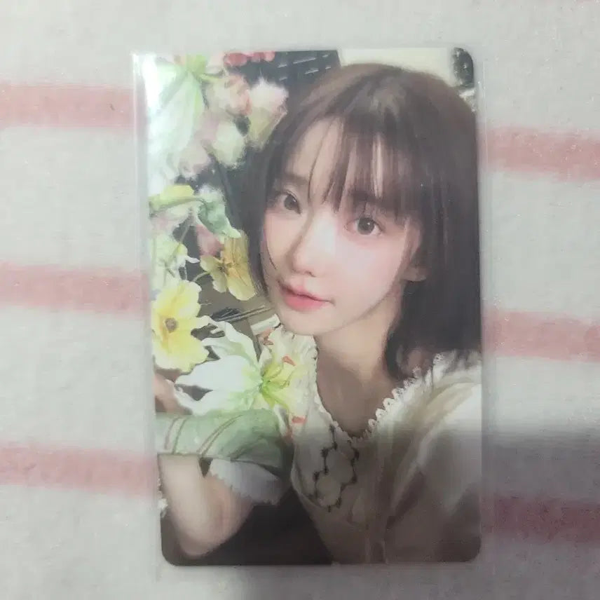 3집 위버스 팬싸 응모자 특전 마젠타 팔아요