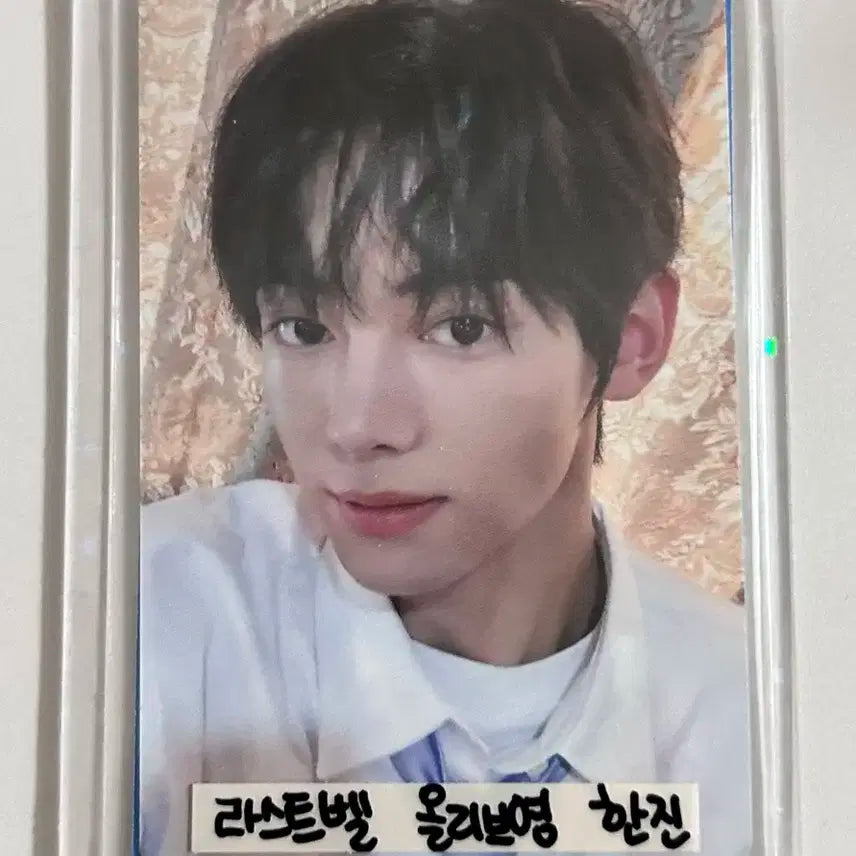 투어스 한진 포카 올리브영