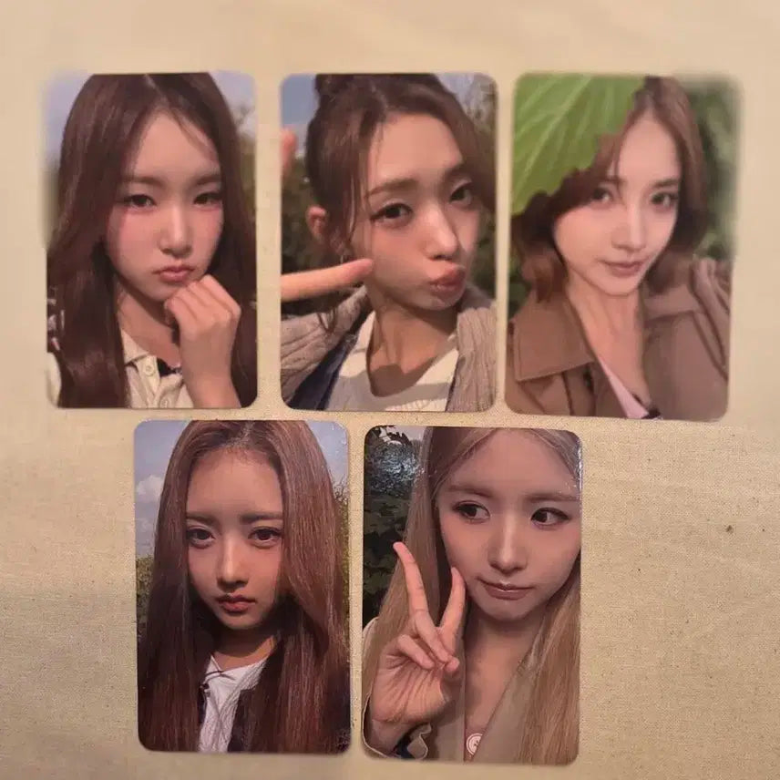 5종세트 hitgs 힛지스 팬싸 특전