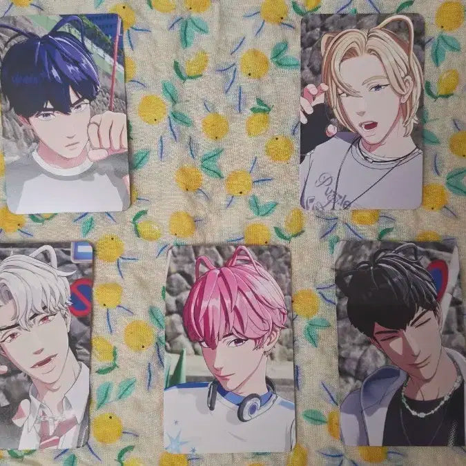 플레이브 카쿠렌보 포카+증사 양도