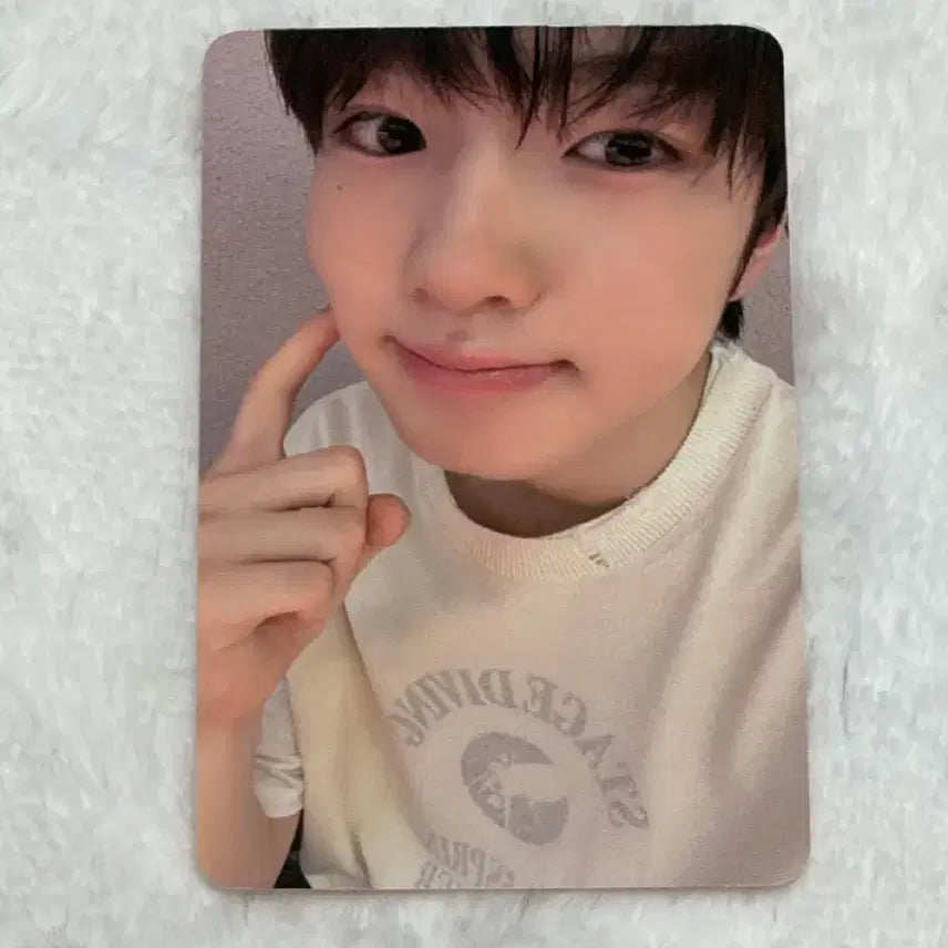 엔시티위시 nctwish 송버드 애플뮤직 미공포 사쿠야 포카