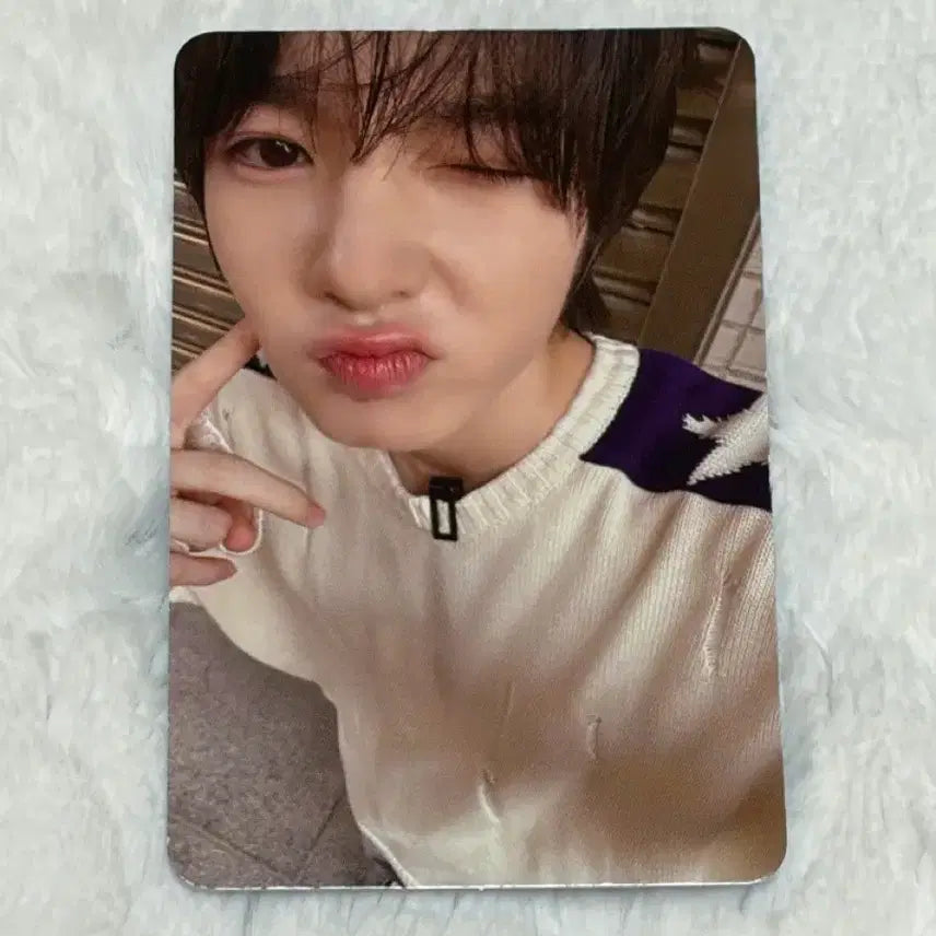 엔시티위시 nctwish 방콕 팬싸 조이클럽 미공포 사쿠야 포카