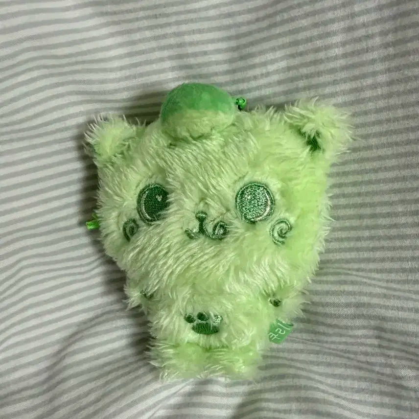 윗부부 위시돌 쿠리 초록